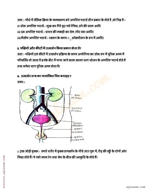 Image result for Science Class 7 Chapter 14 Question Answer In Marathi