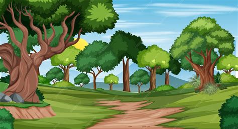 Trilha no cenário da paisagem da floresta | Vetor Premium