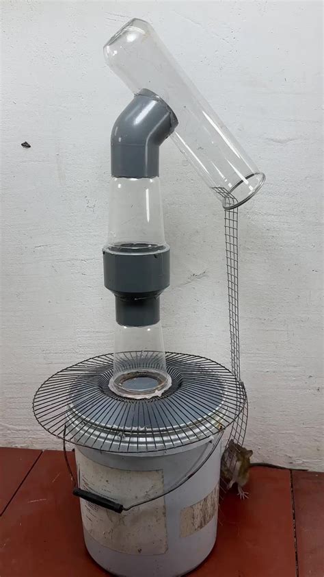 Best 13 Best mouse trap at home/good rat trap plastic bottle #trap # ...