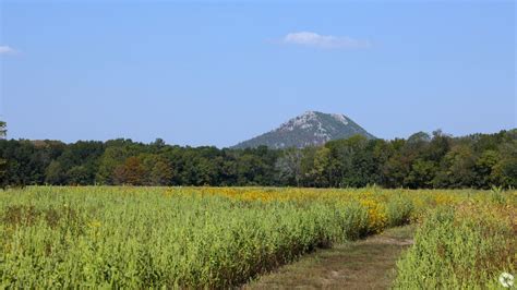 About Pinnacle Valley | Schools, Demographics, Things to Do - Homes.com