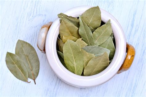 How To Tell If Bay Leaves Are Bad at Jennifer Lyman blog
