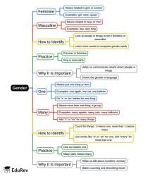 Gender Mind Map - Class 4 English Olympiad PDF Download