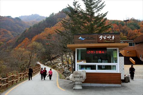 智异山_韩国自由行_韩国旅游攻略_韩国景点美食 - 在首尔旅游网