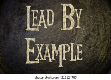 Image result for Lead Bij Example