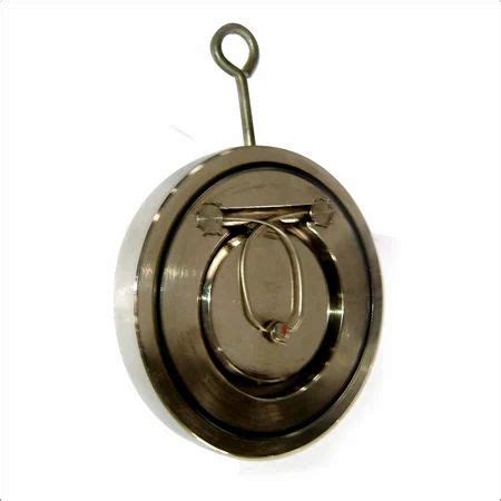 Image result for Wafer Type Spring Loaded Check Valve