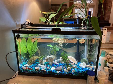 Cool 10 Gallon Fish Tank Ideas