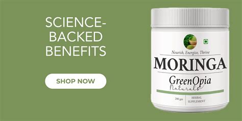 Why Moringa Is the Miracle Tree in Ayurveda – GreenOpia – GreenOpia ...