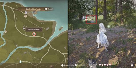 Socko: "Thú cưng" quý hiếm ai cũng muốn có trong Infinity Nikki - GAMELADE