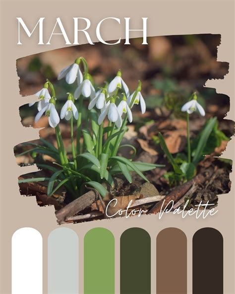 An Earthy Awakening: Spring Color Palette — Chromagik