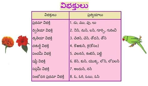 విభక్తులు ఎన్ని రకాలు? అవి ఏవి? - Brainly.in