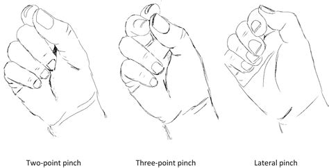 Normative Values for Pinch Strength—Relationship With Joint ...