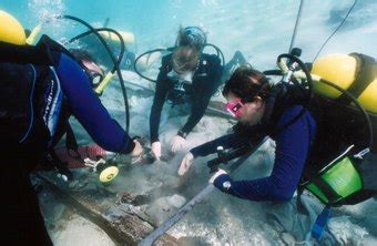 Can Chemistry Majors Become Marine Biologists? | Chron.com