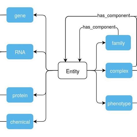 Image result for Write Types of Entity