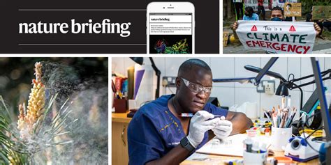 Nature Programmes 的图像结果