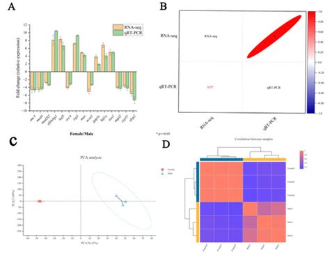 Gonadal Transcriptome Analysis and Sequence Characterization of Sex ...