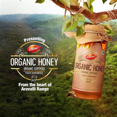 "Dabur Organic Honey 500g: Pure, Unadulterated Honey for Health and ...