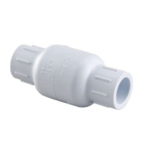 Image result for Clear Spring Check Valve