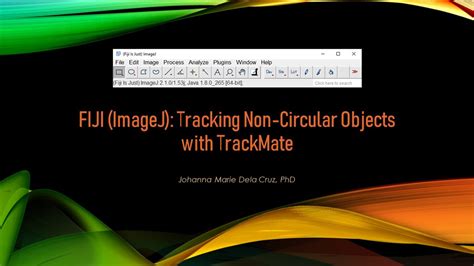 Image result for Manual Tracking ImageJ