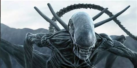 Image result for Alien Covenant Characters
