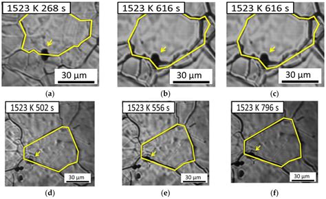 Anisotropic Pinning-Effect of Inclusions in Mg-Based Low-Carbon Steel