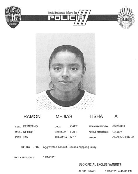 Causa para arresto por agresión y Ley de Armas contra Lisha Ramón ...