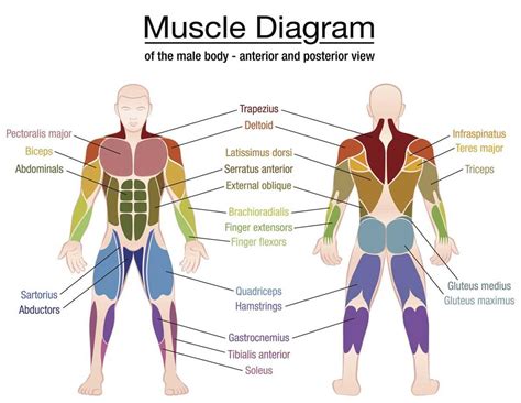 Left Side 的图像结果