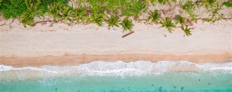 Download wallpaper 2560x1024 beach, top view, shore, palm trees, sand ...