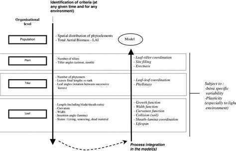 Global Strategy Model 的图像结果