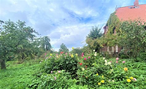 PRIVELACKER PARADIESGARTEN (Hitzacker) - Inn Reviews, Photos, Rate ...