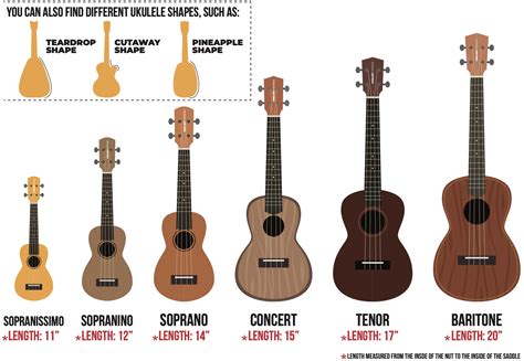 Ukulele Shapes And Sizes: Do you Know Them All? - ULTP Blog