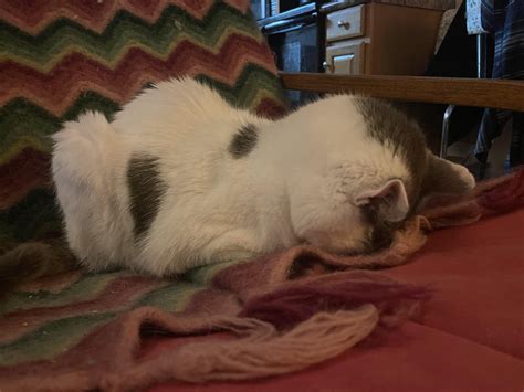 Image result for Boo Womp Mario