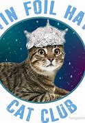 Image result for Tin Foil Hat Theory
