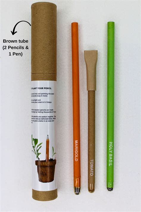 Eco-Friendly Hamper Pack with Mini Planter – Seed Paper India