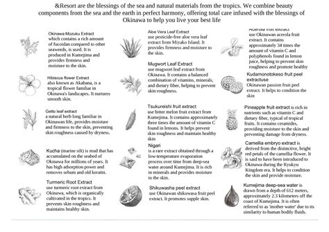 &Resort step 5 "Moisture Milk" 150 ml made in japan – Pba beauty India