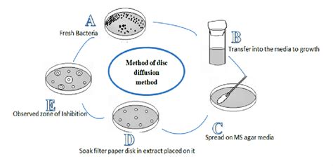 Agar Disc Diffusion Method 的图像结果