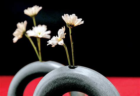 Ikebana Exhibition to celebrate the 80th Birthday of Nobuko Munidasa ...