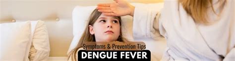 Dengue Prevention and Control: 12 Tips to Avoid Dengue at Home — Dr Trust