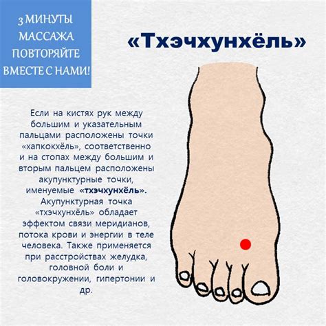 Точки на теле для желудка