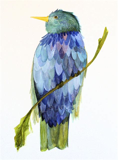 Nature Art Watercolor Illustrations