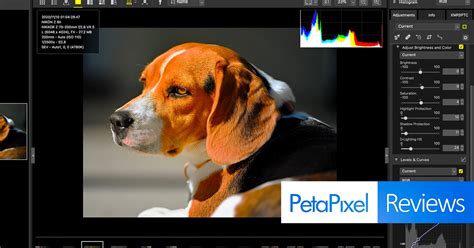 Image result for Editing Programs for Nikon