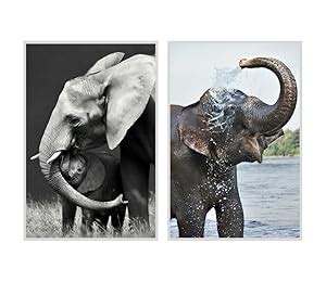 Elephant Poster, Size - 12 X 18 inches, Paper Thickness - 250 GSM (PACK ...