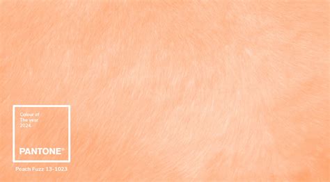 Peach Fuzz - Pantone Colour of 2024 - Attinger Jack