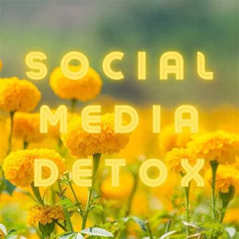 Sacred Roots Holistic Healing on campus at Panacea Holistic Institute ...