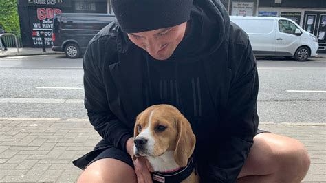 Why I love … Walking my dog – The Irish Times