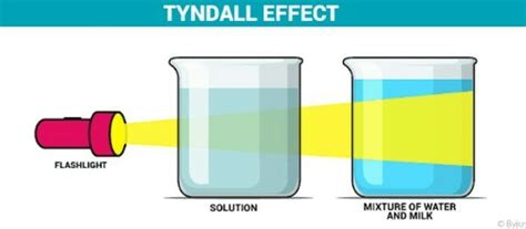 I) What is Tyndall effect? ii) Draw a figure which shows the ...