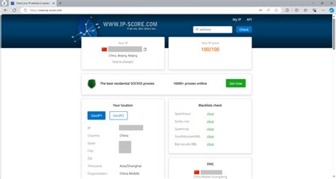 Test IP Address 的图像结果