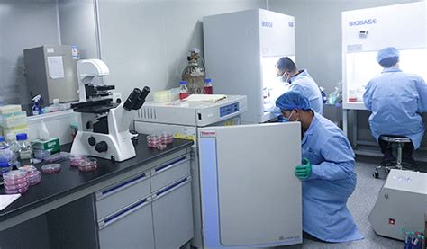 EDU检测细胞增殖_细胞实验外包公司_普拉特泽生物