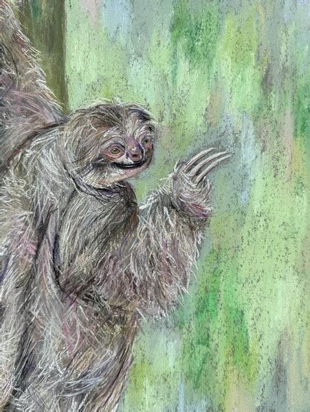 L'art animalier d'Amy Pink - Howlers Costa Rica Real Escapes