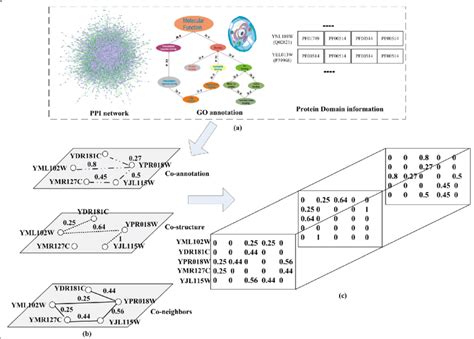 Image result for Tensor Example