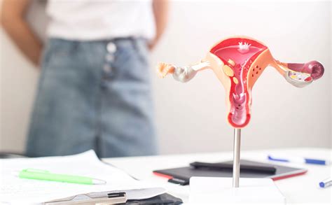 Female Reproductive System Diseases | ABC Medical Center